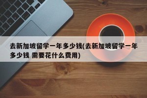 去新加坡留学一年多少钱(去新加坡留学一年多少钱 需要花什么费用)