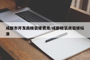 成都市开发商精装修费用/成都精装房装修标准
