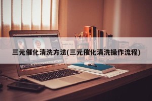 三元催化清洗方法(三元催化清洗操作流程)