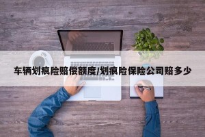 车辆划痕险赔偿额度/划痕险保险公司赔多少
