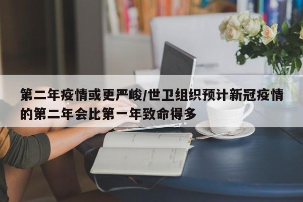 第二年疫情或更严峻/世卫组织预计新冠疫情的第二年会比第一年致命得多