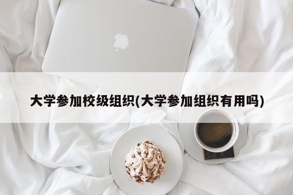 大学参加校级组织(大学参加组织有用吗)